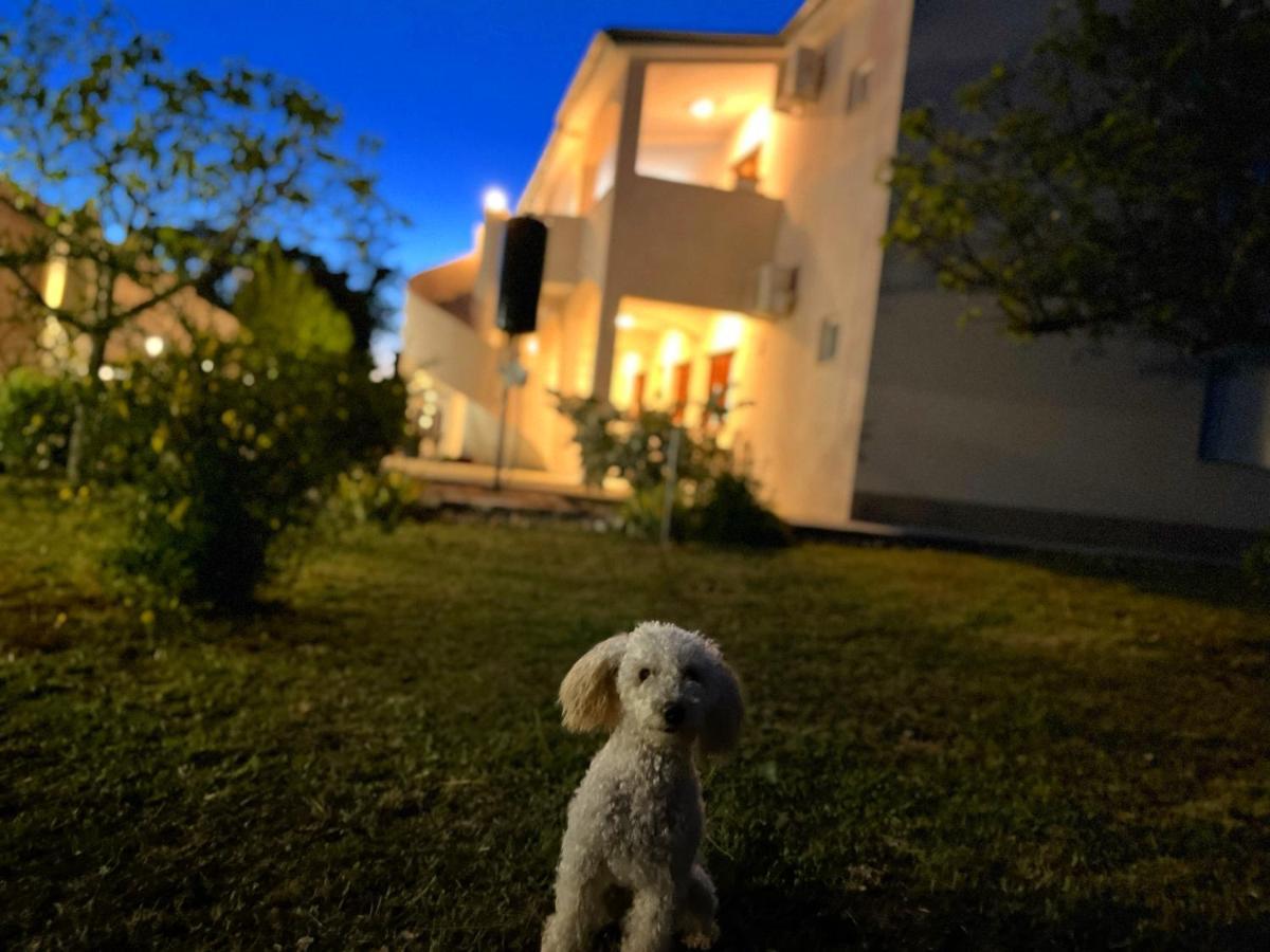 Apartments Fortuna Biograd Na Moru Exterior foto